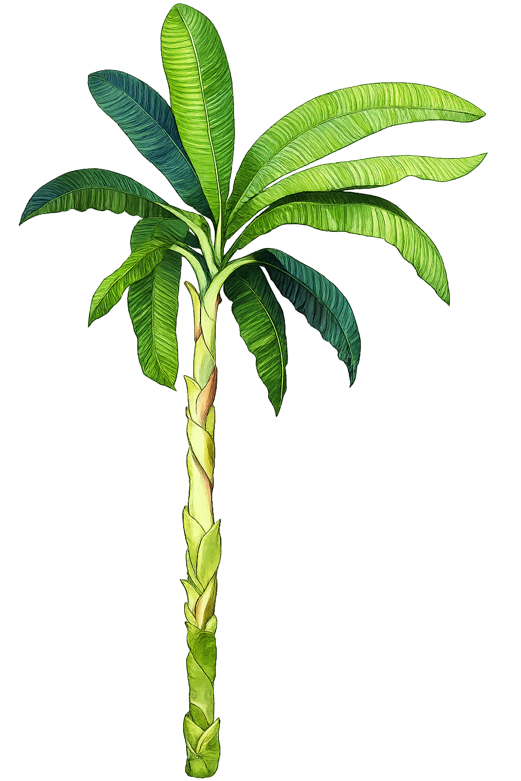 Banana leaf decoration